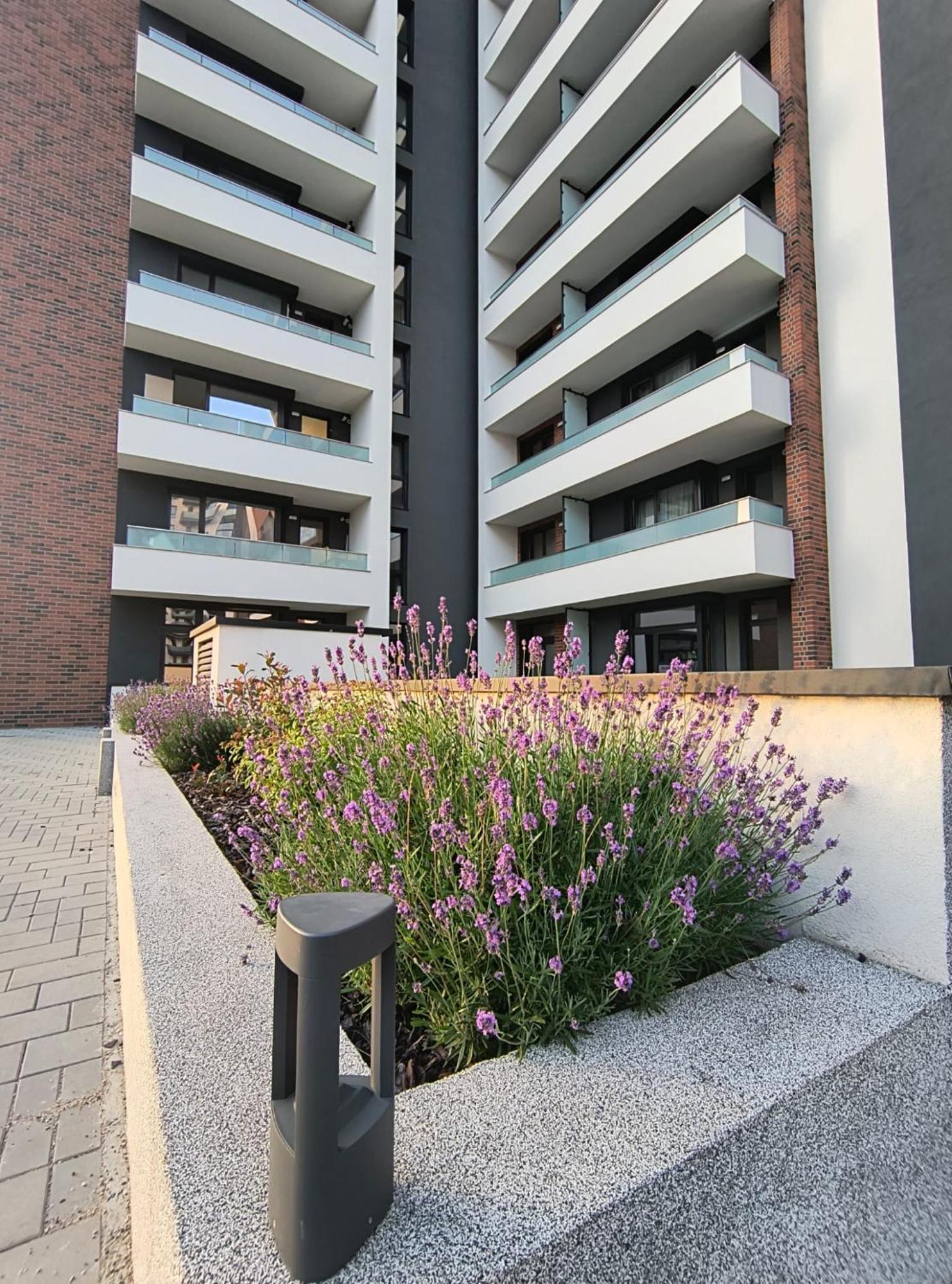 Apartment Park Lake Клуж-Напока Екстериор снимка